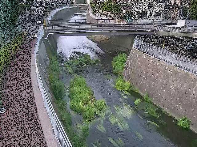 松山橋付近のカメラ画像