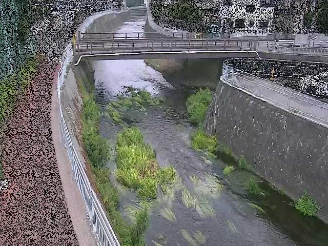松山橋付近のカメラ画像