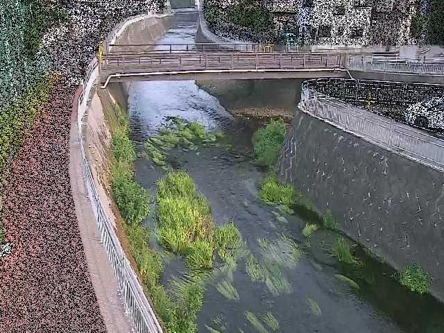 蓼川 松山橋付近のカメラ画像