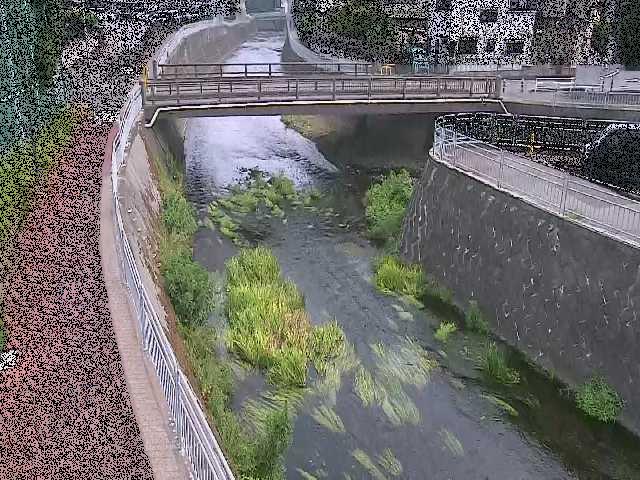 松山橋付近のカメラ画像