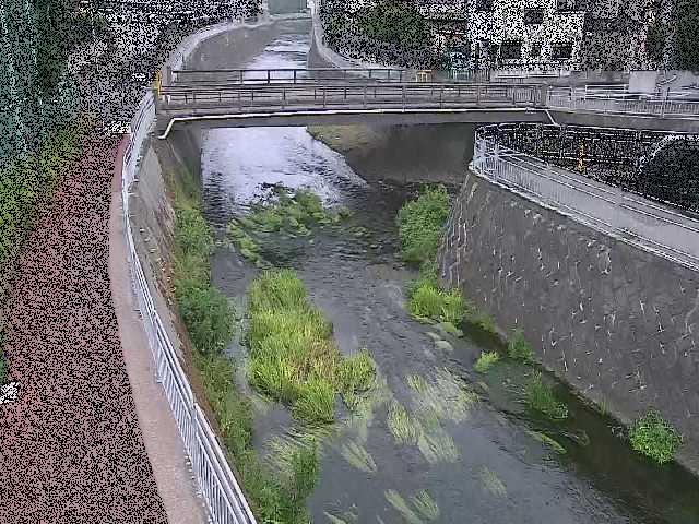 松山橋付近のカメラ画像