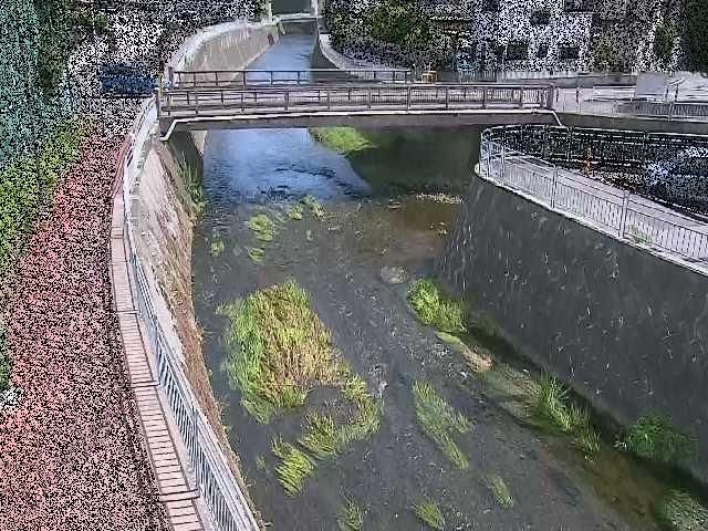 蓼川 松山橋付近のカメラ画像