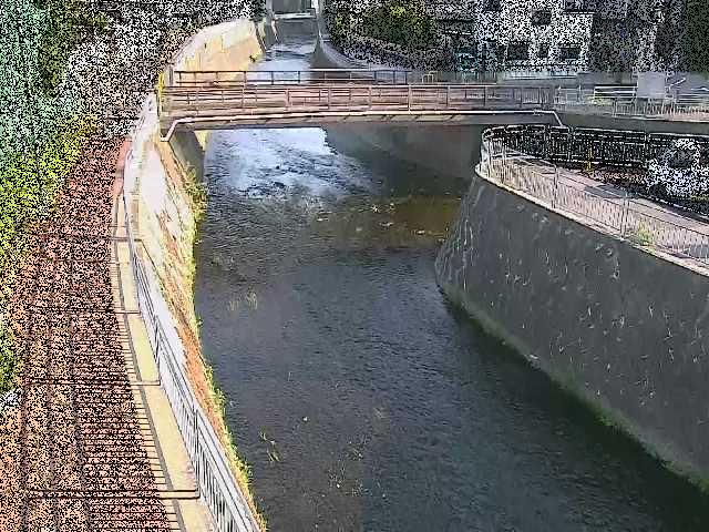 松山橋付近のカメラ画像