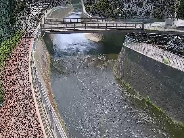 蓼川 松山橋付近のカメラ画像