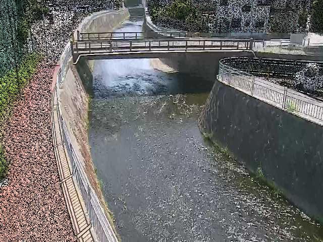 松山橋付近のカメラ画像