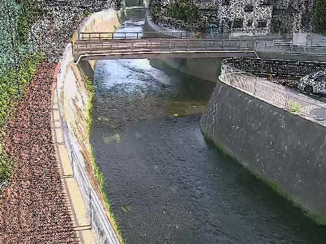 蓼川 松山橋付近のカメラ画像