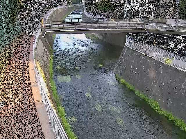 蓼川 松山橋付近のカメラ画像
