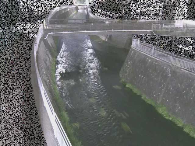 松山橋付近のカメラ画像