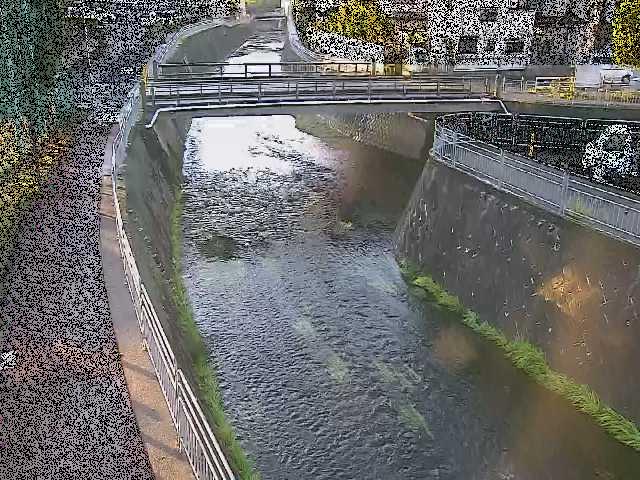 松山橋付近のカメラ画像