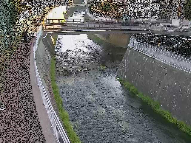 松山橋付近のカメラ画像