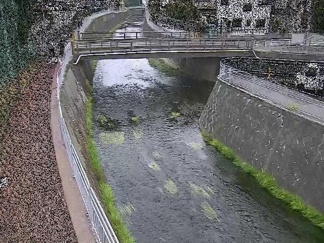 松山橋付近のカメラ画像