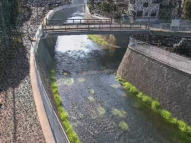 松山橋付近のカメラ画像