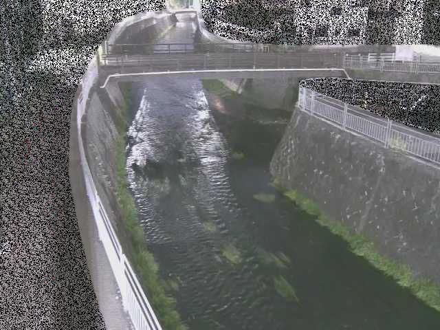 松山橋付近のカメラ画像