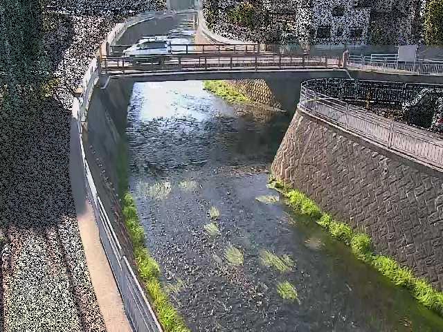 松山橋付近のカメラ画像