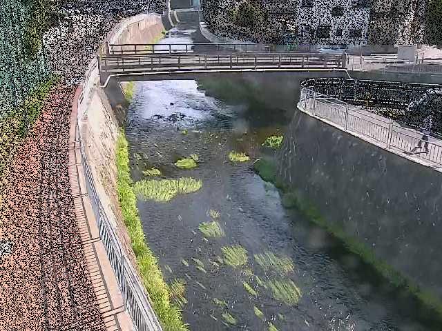 松山橋付近のカメラ画像