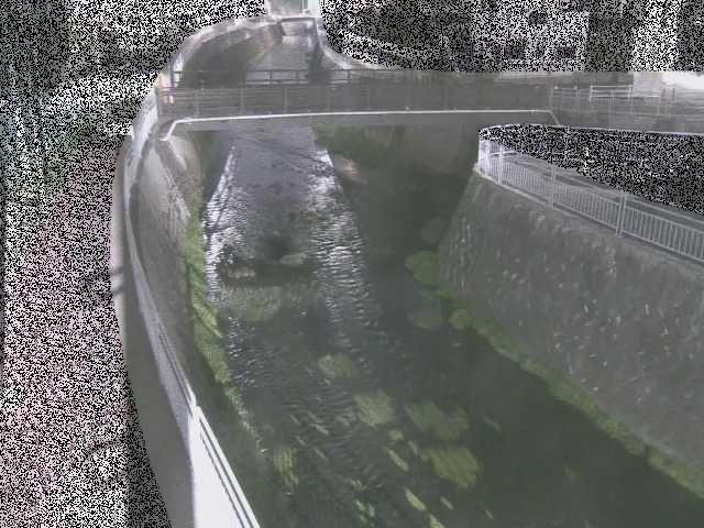 松山橋付近のカメラ画像