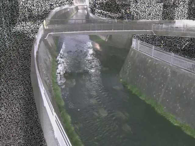 松山橋付近のカメラ画像