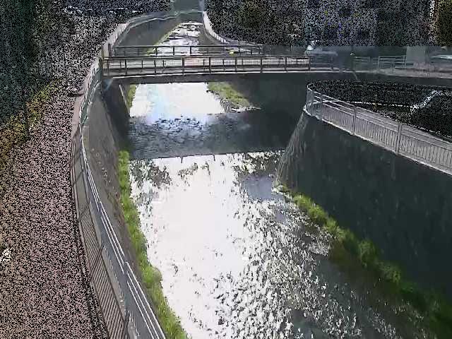 松山橋付近のカメラ画像