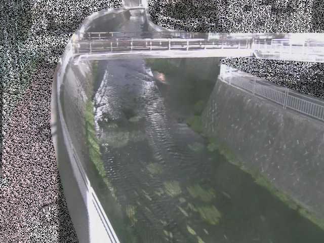 蓼川 松山橋付近のカメラ画像