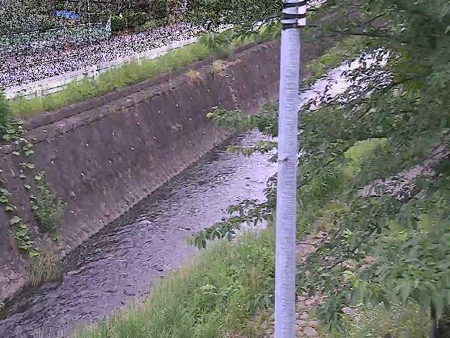 新産川橋付近のカメラ画像