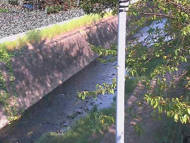 新産川橋付近のカメラ画像