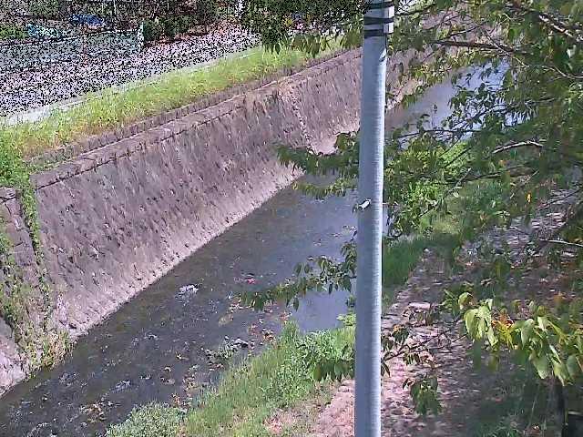 目久尻川 新産川橋付近のカメラ画像