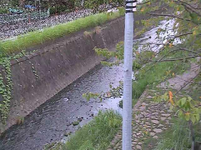 新産川橋付近のカメラ画像