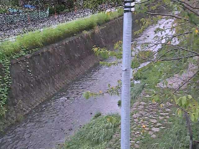 新産川橋付近のカメラ画像
