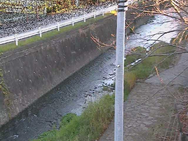 新産川橋付近のカメラ画像