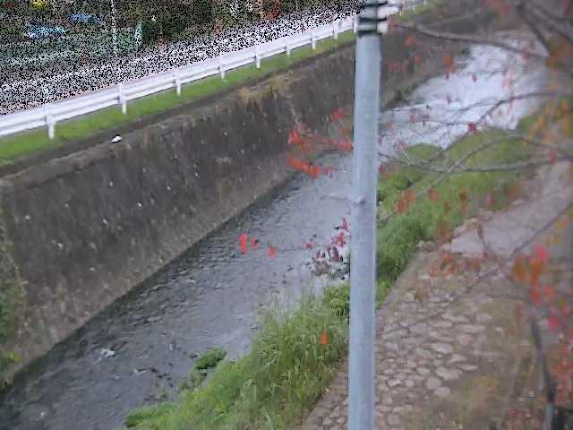 新産川橋付近のカメラ画像