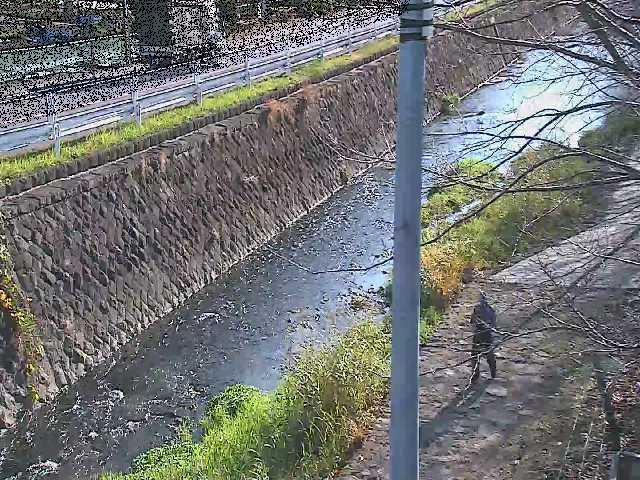 新産川橋付近のカメラ画像