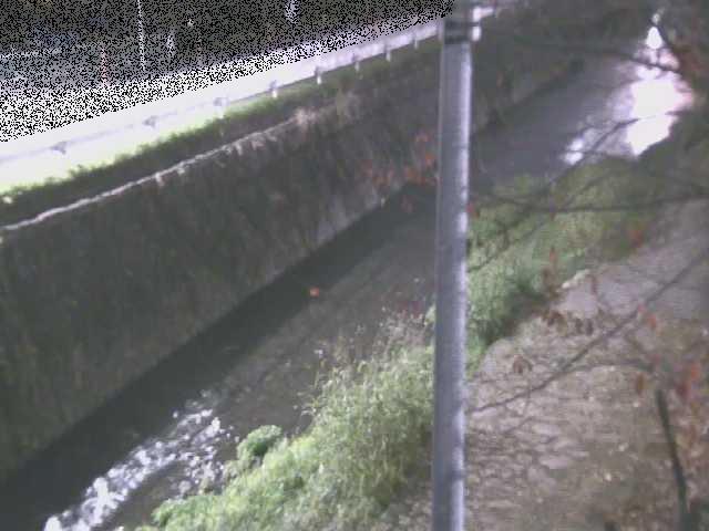 新産川橋付近のカメラ画像