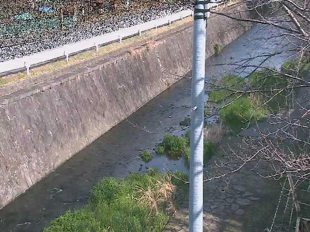 新産川橋付近のカメラ画像