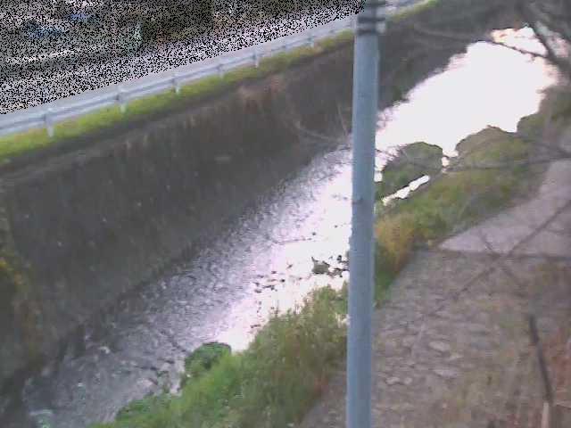 目久尻川 新産川橋付近のカメラ画像