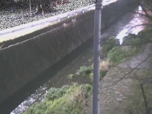 新産川橋付近のカメラ画像