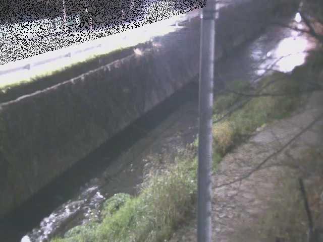 新産川橋付近のカメラ画像