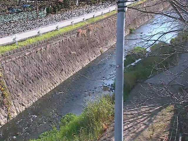 新産川橋付近のカメラ画像