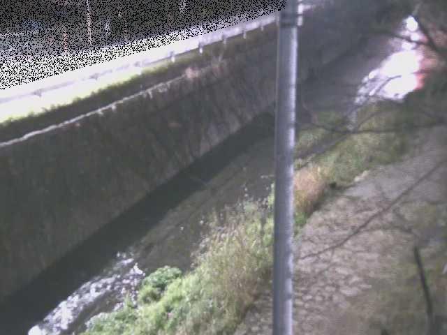 新産川橋付近のカメラ画像