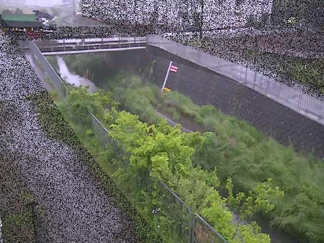 永池橋付近のカメラ画像