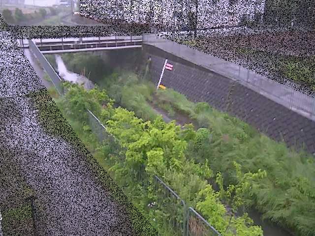 永池橋付近のカメラ画像