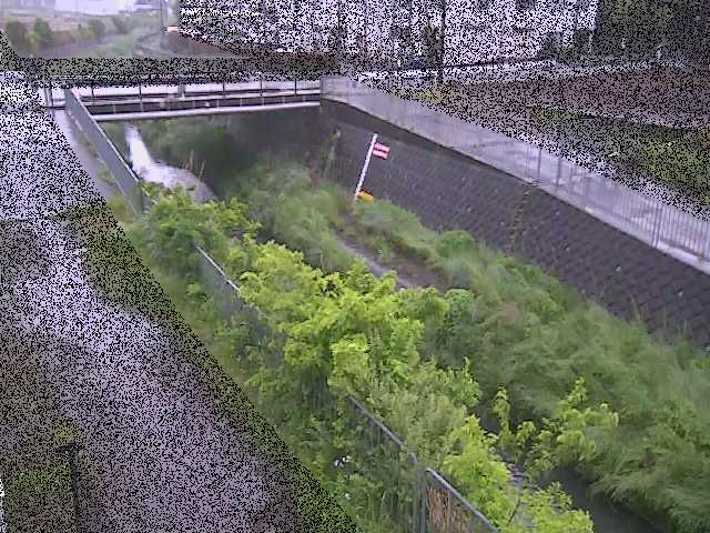 永池川 永池橋付近のカメラ画像