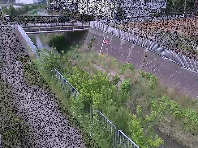 永池橋付近のカメラ画像
