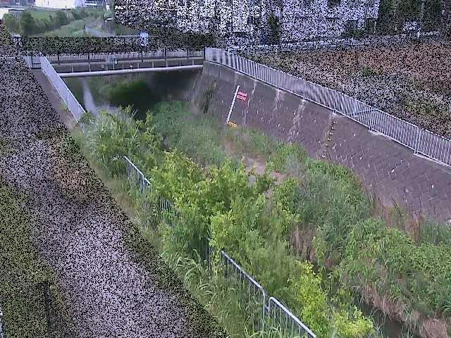 永池橋付近のカメラ画像