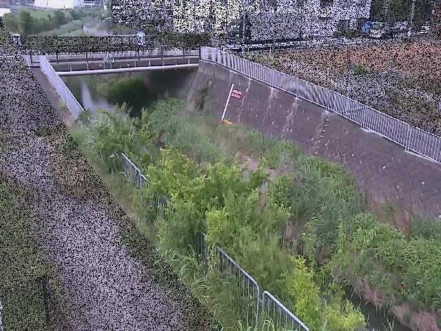 永池橋付近のカメラ画像