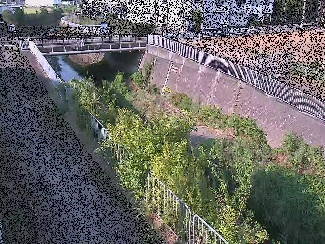 永池橋付近のカメラ画像