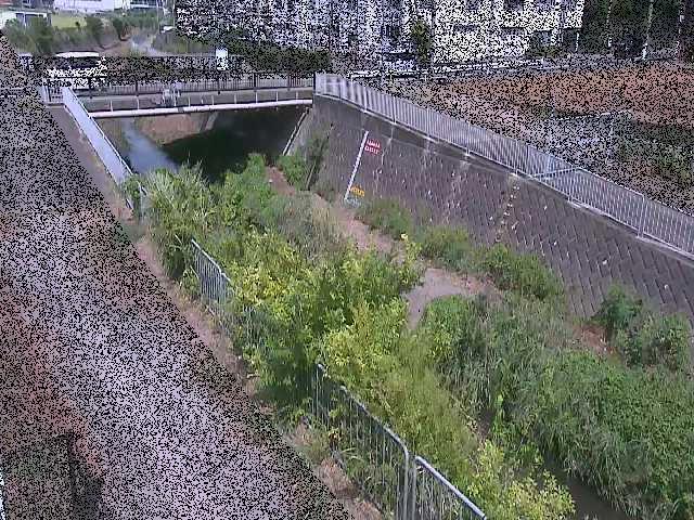 永池川 永池橋付近のカメラ画像