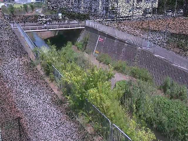 永池川 永池橋付近のカメラ画像