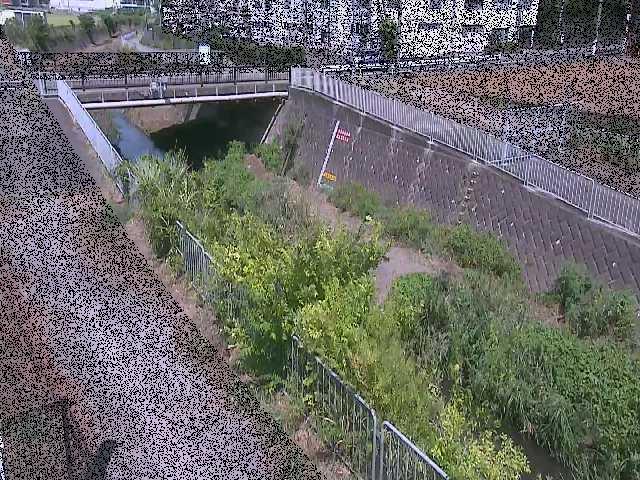 永池橋付近のカメラ画像