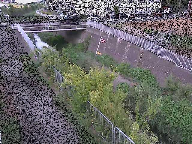 永池川 永池橋付近のカメラ画像