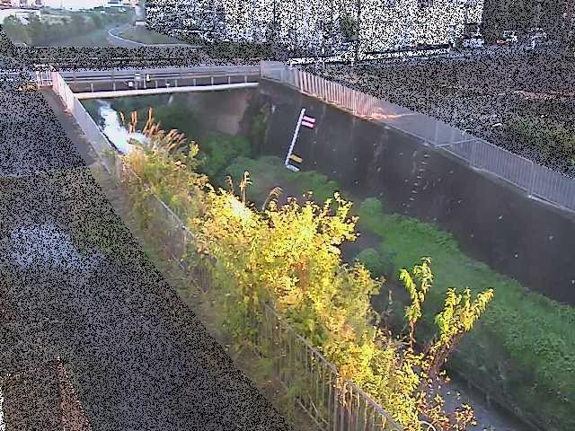 永池橋付近のカメラ画像